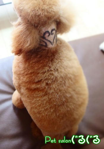 佐倉トリミング